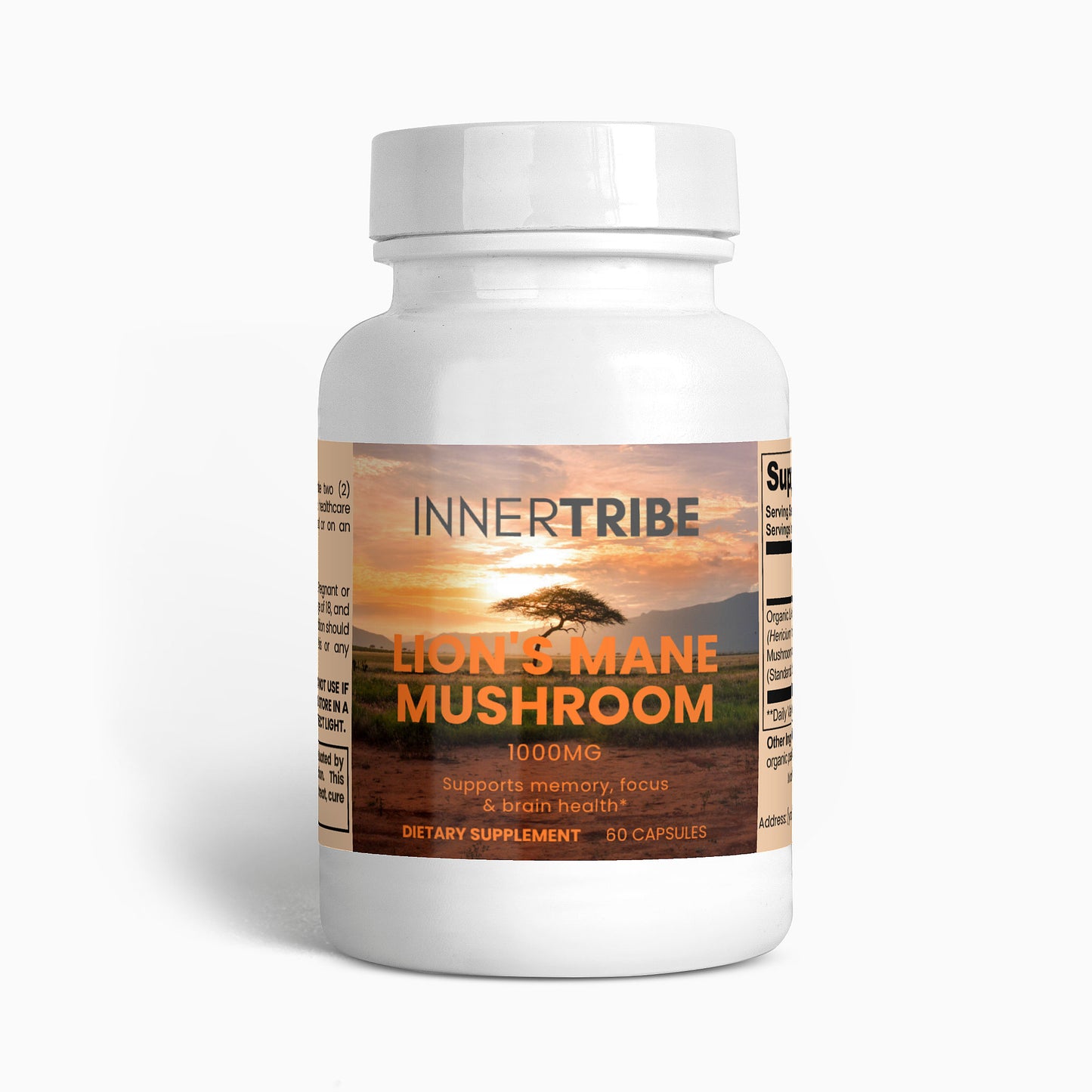Lion's Mane Mushroom